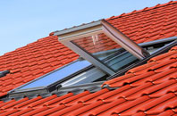 Sourton roof window